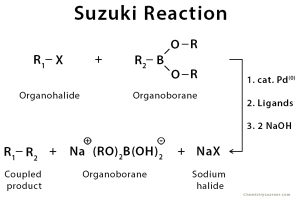 Suzuki Reaction Definition Example Mechanism Application