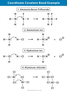 Koordinere Kovalent Binding Definition Og Eksempler Mex Alex