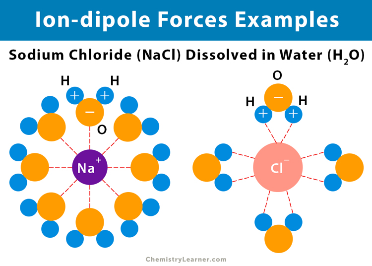 Ion Induced Dipole Forces