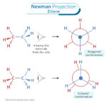 Newman Projection Definition Examples And Energy Diagram