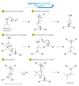 Enamine Definition Structure And Formation Mechanism