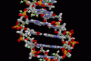 biopolymer photo