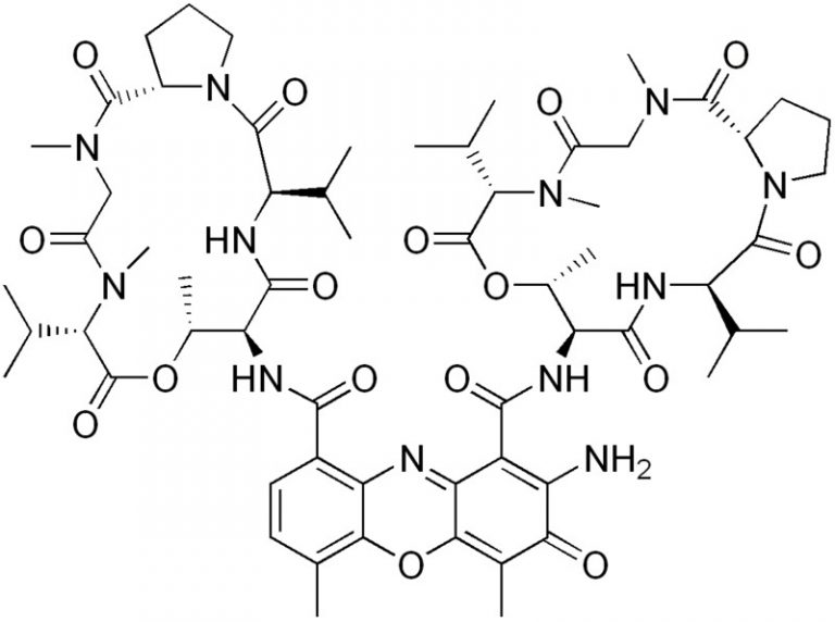 Tetrodotoxin - Mechanism, Structure, Medical Use And Poisoning Effects