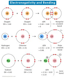 Electronegativity: Definition, Value Chart, and Trend in Periodic Table