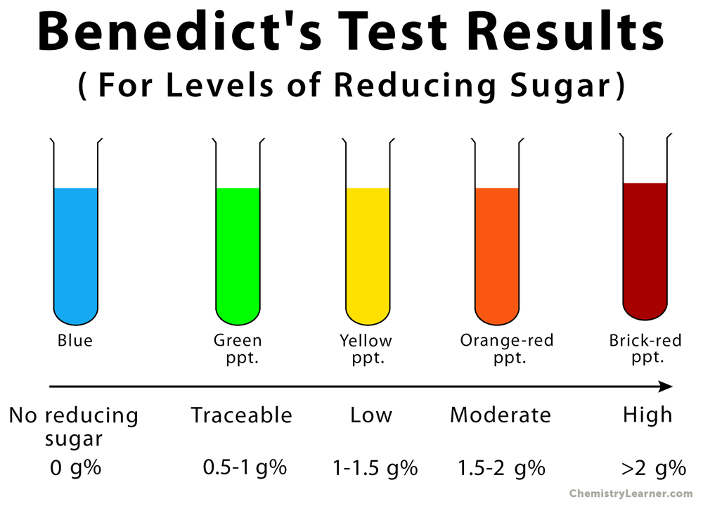 Benedict s test results