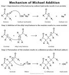 Michael Addition: Definition, Examples, And Mechanism