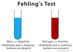 Fehling’s Solution