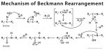 Beckmann Rearrangement: Definition, Examples, And Mechanism