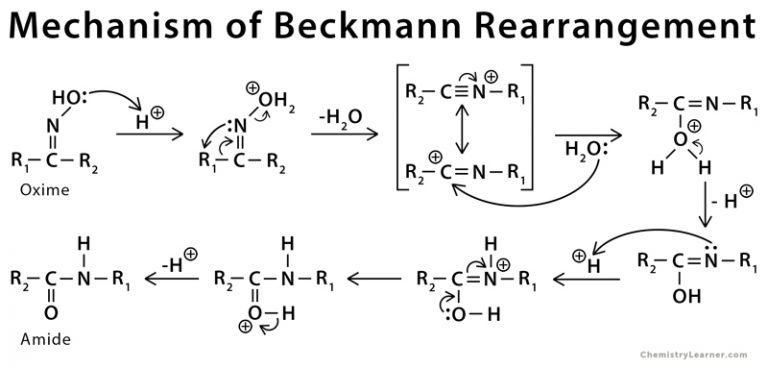 beckmann-rearrangement-definition-examples-and-mechanism