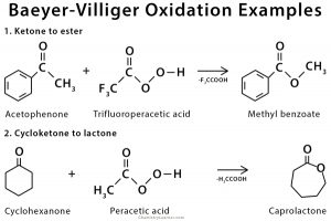 Baeyer-Villiger Oxidation: Definition, Example And Mechanism