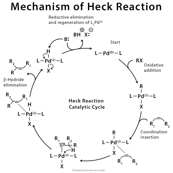 Heck Reaction Definition Example Mechanism Application