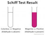 Schiff Reagent: Definition, Formula, and Preparation