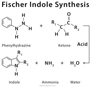 fischer indole synthesis experiment