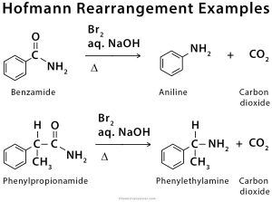 Hofmann Rearrangement: Example, Mechanism, And Application