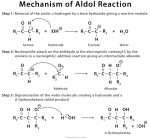 Aldol Reaction: Definition, Example, Mechanism & Application