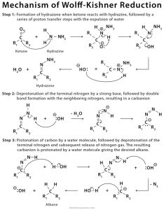 Wolff-Kishner Reduction: Definition, Examples, And Mechanism