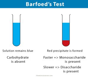 Barfoed’s Test: Principle, Procedure, Reaction, and Result