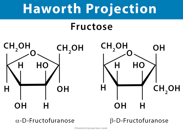 Solved monosaccharides like fructose can undergo | Chegg.com