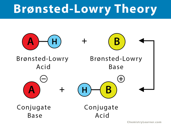 what is bronsted lowry concept of acids and bases