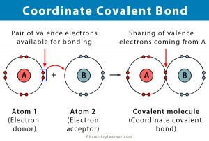 Coordinate Covalent Bond: Definition and Examples