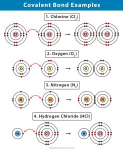 Covalent Bond: Definition, Types, and Examples