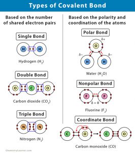 Covalent Bond: Definition, Types, And Examples