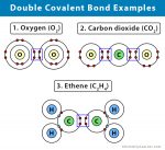 Double Covalent Bond: Definition and Examples