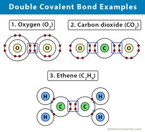 Double Covalent Bond: Definition And Examples