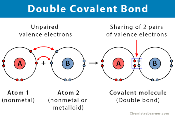 Identify Which Of The Following Molecules Has A Double Bond Gianni 