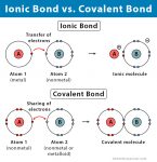 Ionic, Covalent, and Metallic Bonds - Differences and Similarities