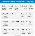 Photochemical Reaction: Definition, Examples, & Applications