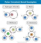 Polar Covalent Bond: Definition And Examples