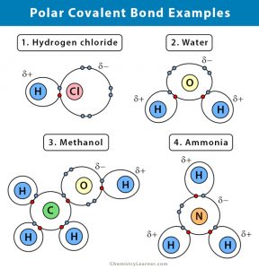 Polar Covalent Bond: Definition and Examples