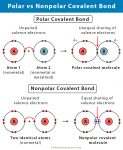 Polar Covalent Bond: Definition and Examples