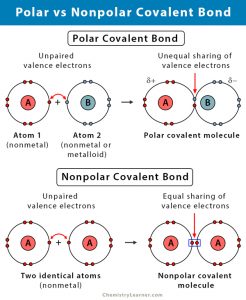 Polar Covalent Bond: Definition and Examples