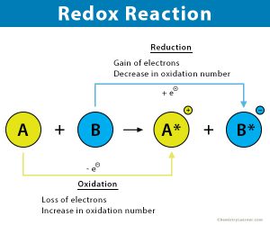 Redox (Oxidation-Reduction) Reaction: Definition & Examples