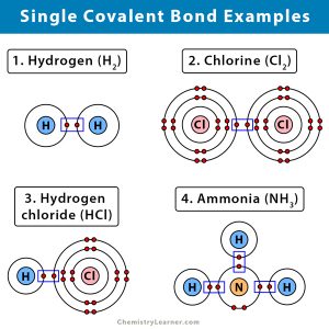 Single Covalent Bond: Definition and Examples