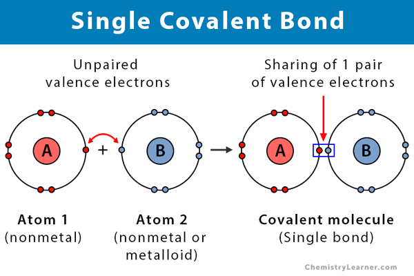 Carbon Hydrogen Covalent Bond