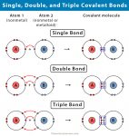 Single Covalent Bond: Definition and Examples