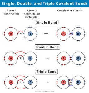 Single Covalent Bond: Definition and Examples