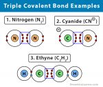 Triple Covalent Bond: Definition and Examples