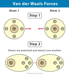 Van der Waals Forces (Bond): Definition, Examples, & Diagrams