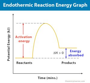 Endothermic Reaction: Definition, Equation, Graph & Examples