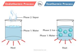 Endothermic Reaction: Definition, Equation, Graph & Examples