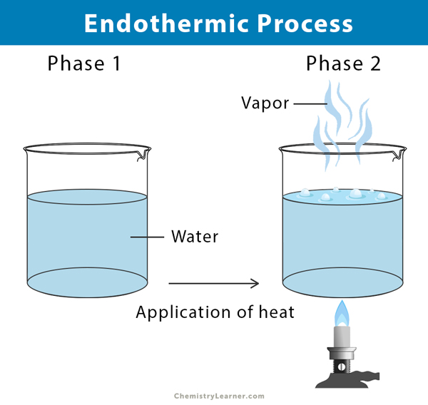 Endothermic Reaction Definition Equation Graph Examples