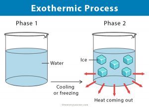 Exothermic Reaction: Definition, Equation, and Examples