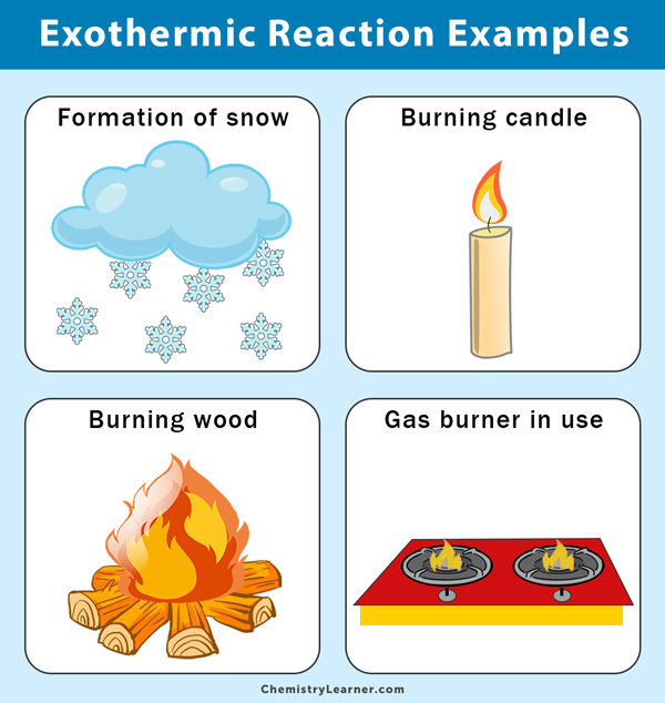 Endothermic And Exothermic Reaction Examples