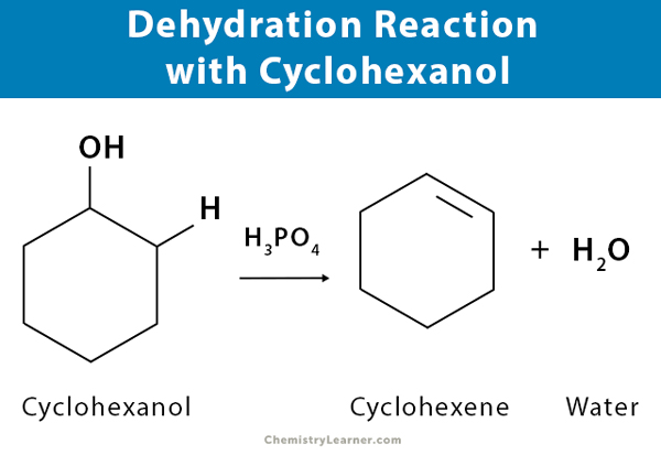 Dehydration Synthesis: Definition, Equations