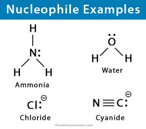 Nucleophile: Definition, Examples, and Strength