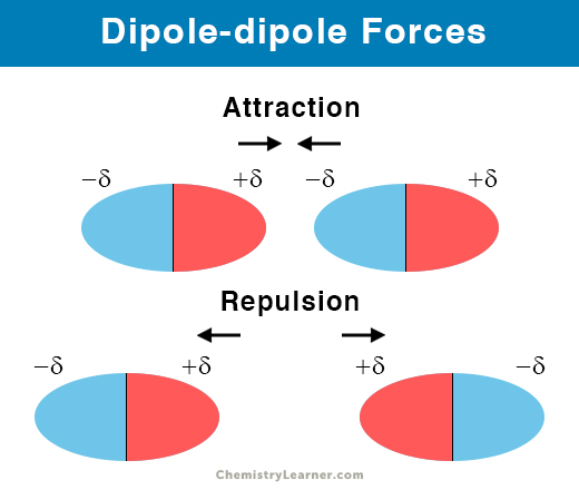 What Are Dipole Dipole Forces